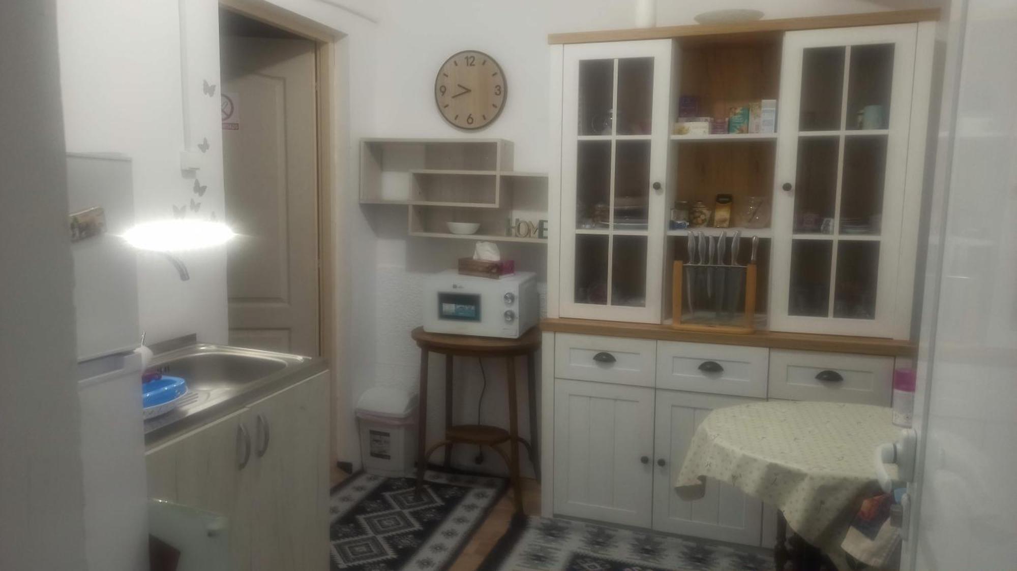 Studio Pe Somes Κλουζ-Ναπόκα Εξωτερικό φωτογραφία
